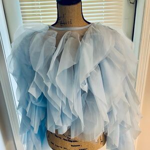 Elegant Powder Blue Ruffled Blouse